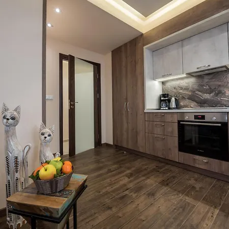 Cats Apartment Varna