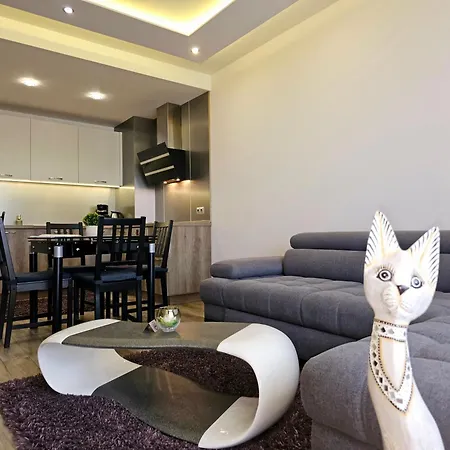 Apartment Cats *