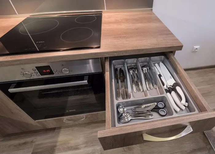 Apartment Cats Varna